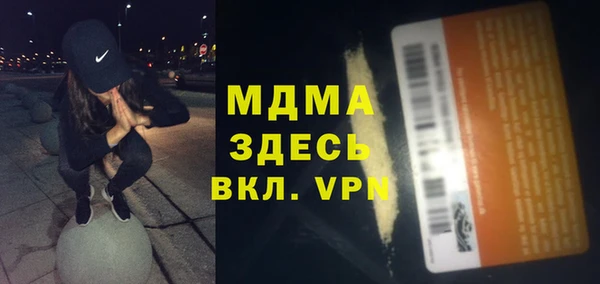 стаф Алексин
