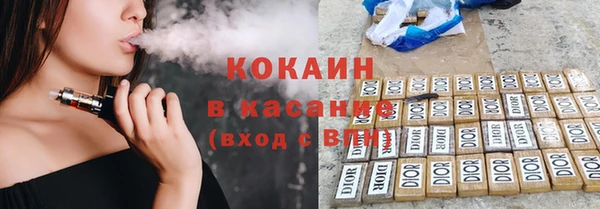 стаф Алексин