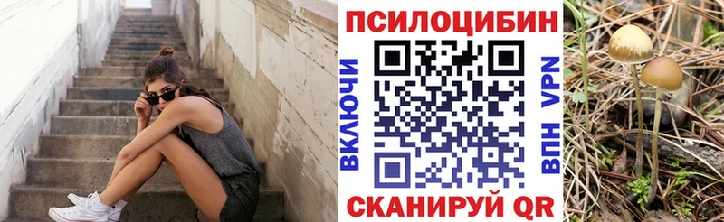 Купить закладки  Ардон  Галлюциногенные грибы ЛСД 