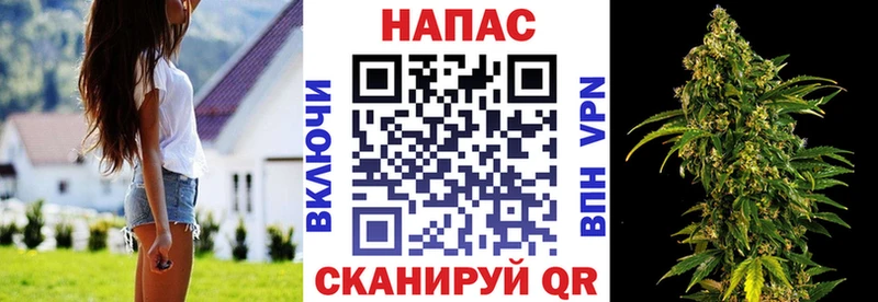 Купить закладки  Ардон  Канабис семена 